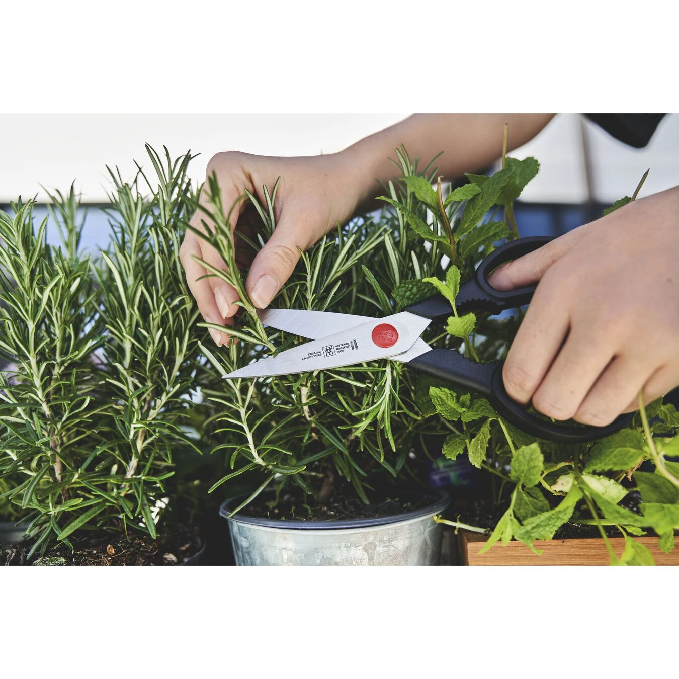 Zwilling Tijera Multiuso 20 Cm, Acero Inoxidable, Negro 5 Zwilling Tijera Multiuso 20 Cm, Acero Inoxidable, Negro - Imagen 3