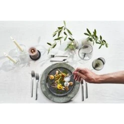 Zwilling Cubertería 113-pzs, Pulido 7 Zwilling Cubertería 113-pzs, Pulido -Zwilling 424416209